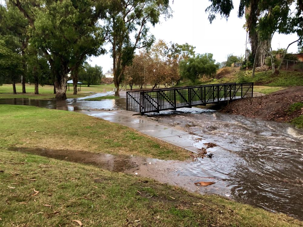 Hilltop Park Bridge
